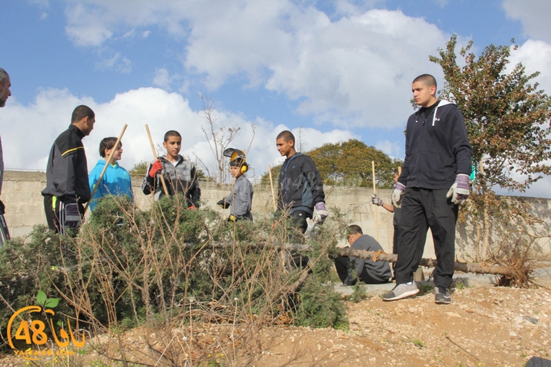 taso mashro3 tandaef (1).JPG